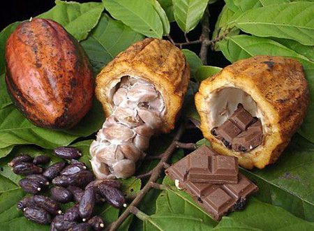 قیمت کاکائو از ۵۶۰۰ دلار عبور کرد؛ خطر کاهش تولید در غرب آفریقا
